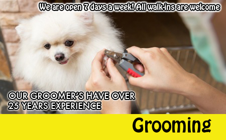 Dog_Grooming